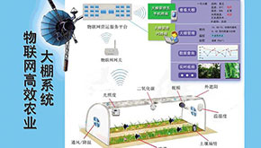 物联网将使智慧农业成为现实