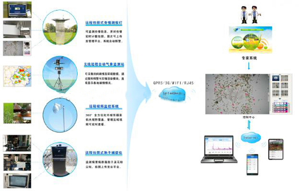植保信息化监控预警系统
